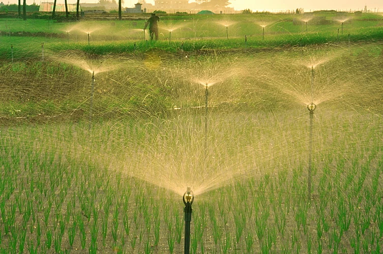 Ảnh dự thi “Vì môi trường xanh” (Phần 1) ảnh 7